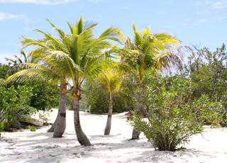Crociera a Princess Cay
